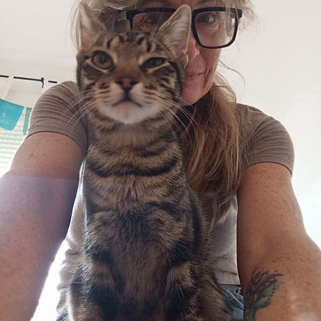 The Healing Power of Animals - Jane's Mindful Musings