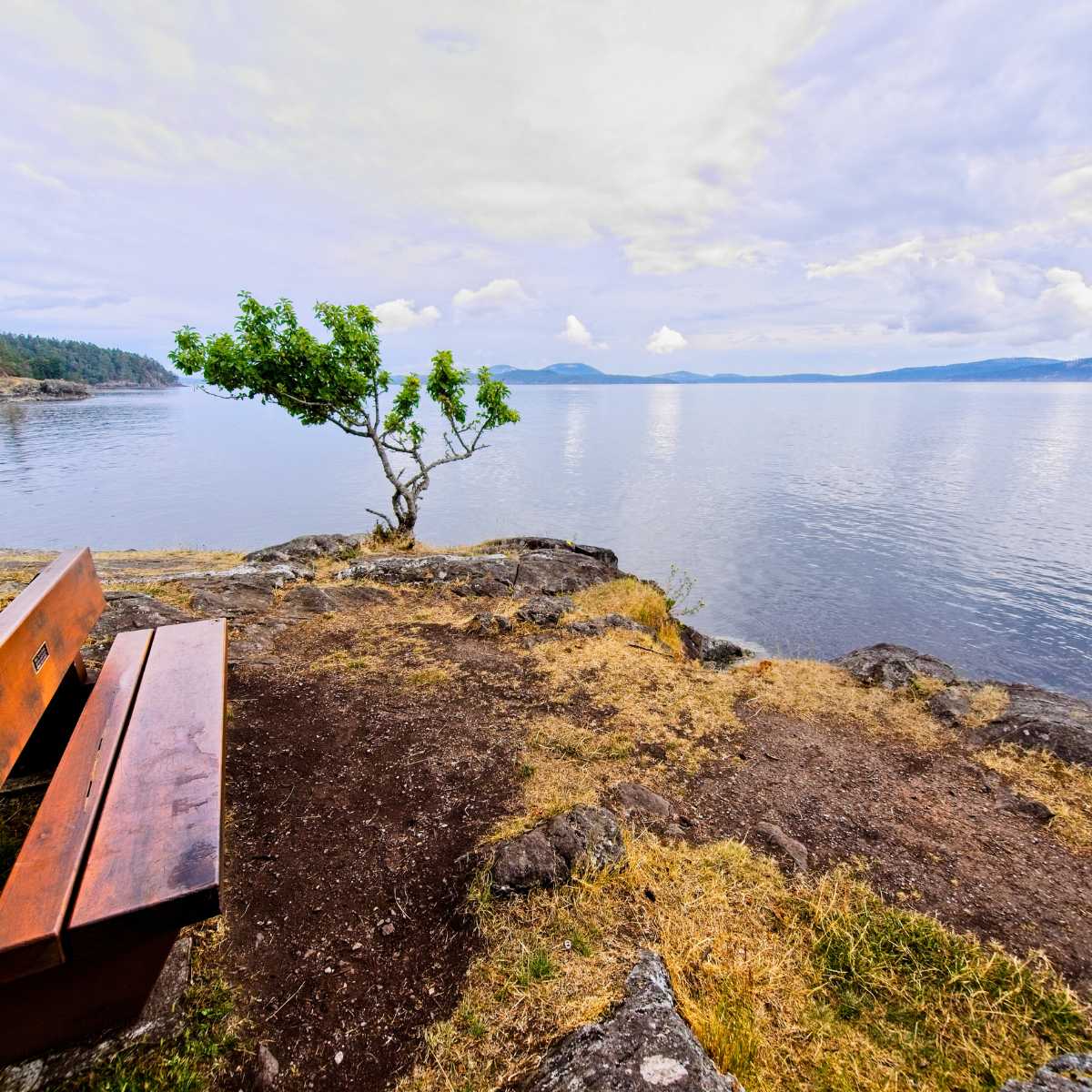 Ruckle Park, Salt Spring Island, Ramble Log - Jill Thomas