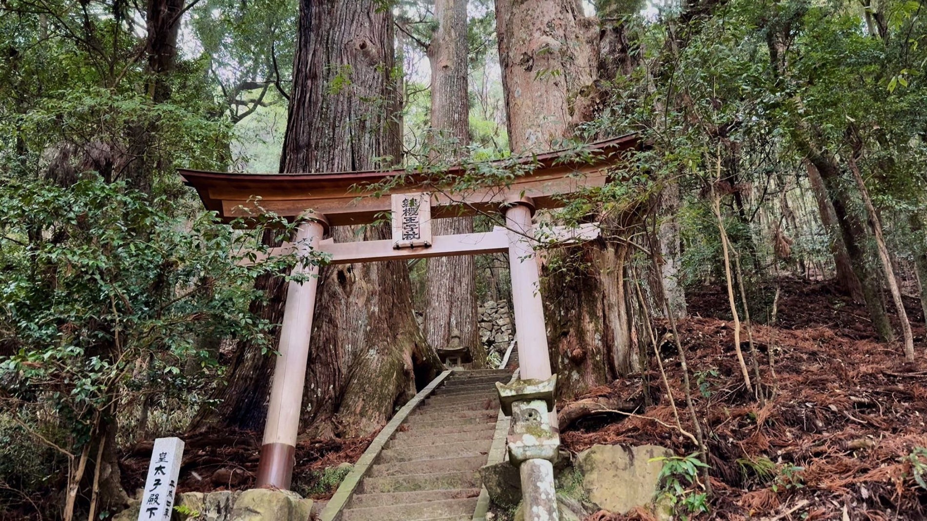 Japan Kumano Kudo Camino