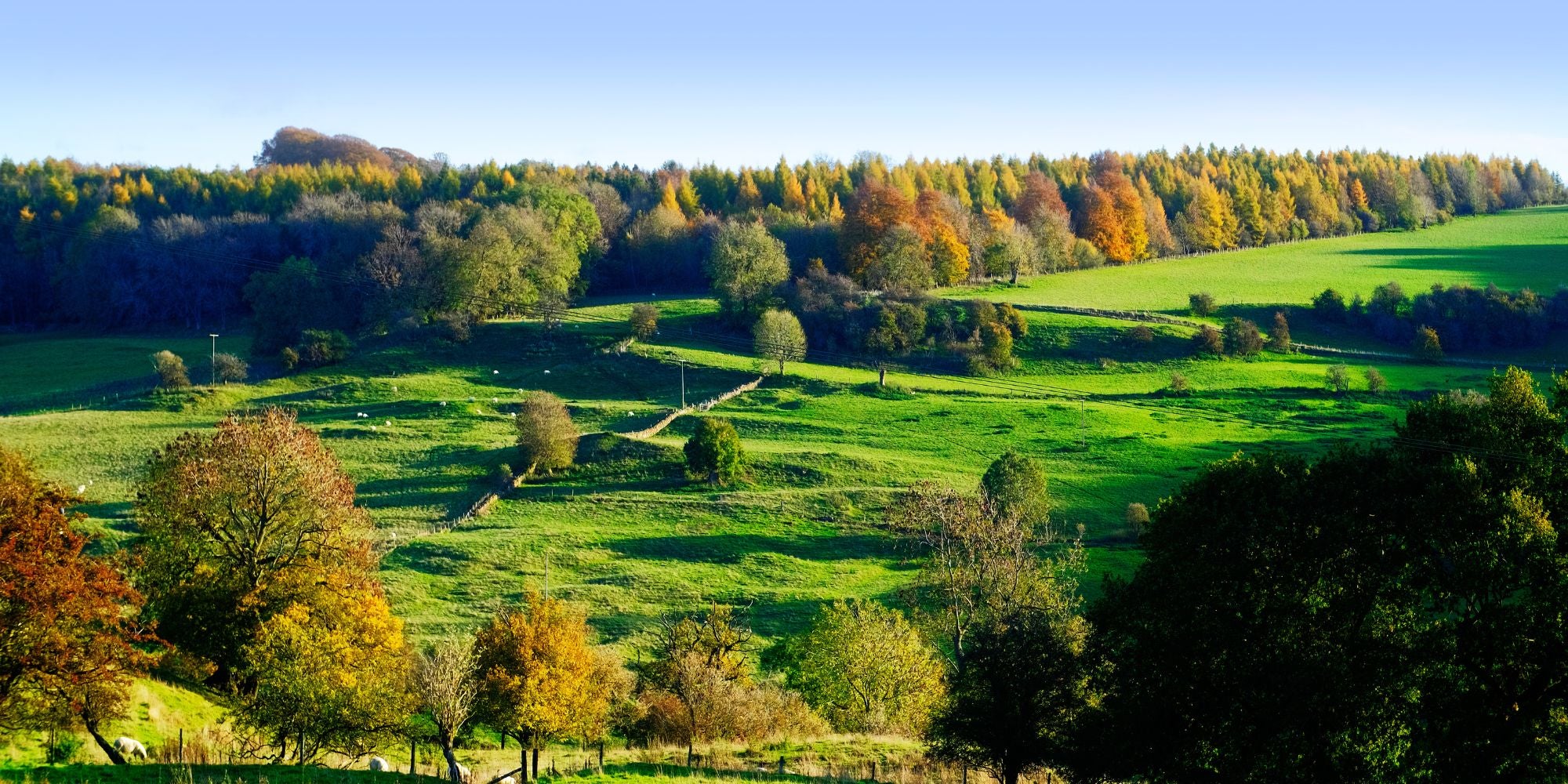 Ask questions & learn more in our Cotswolds Thames path WhatsApp group