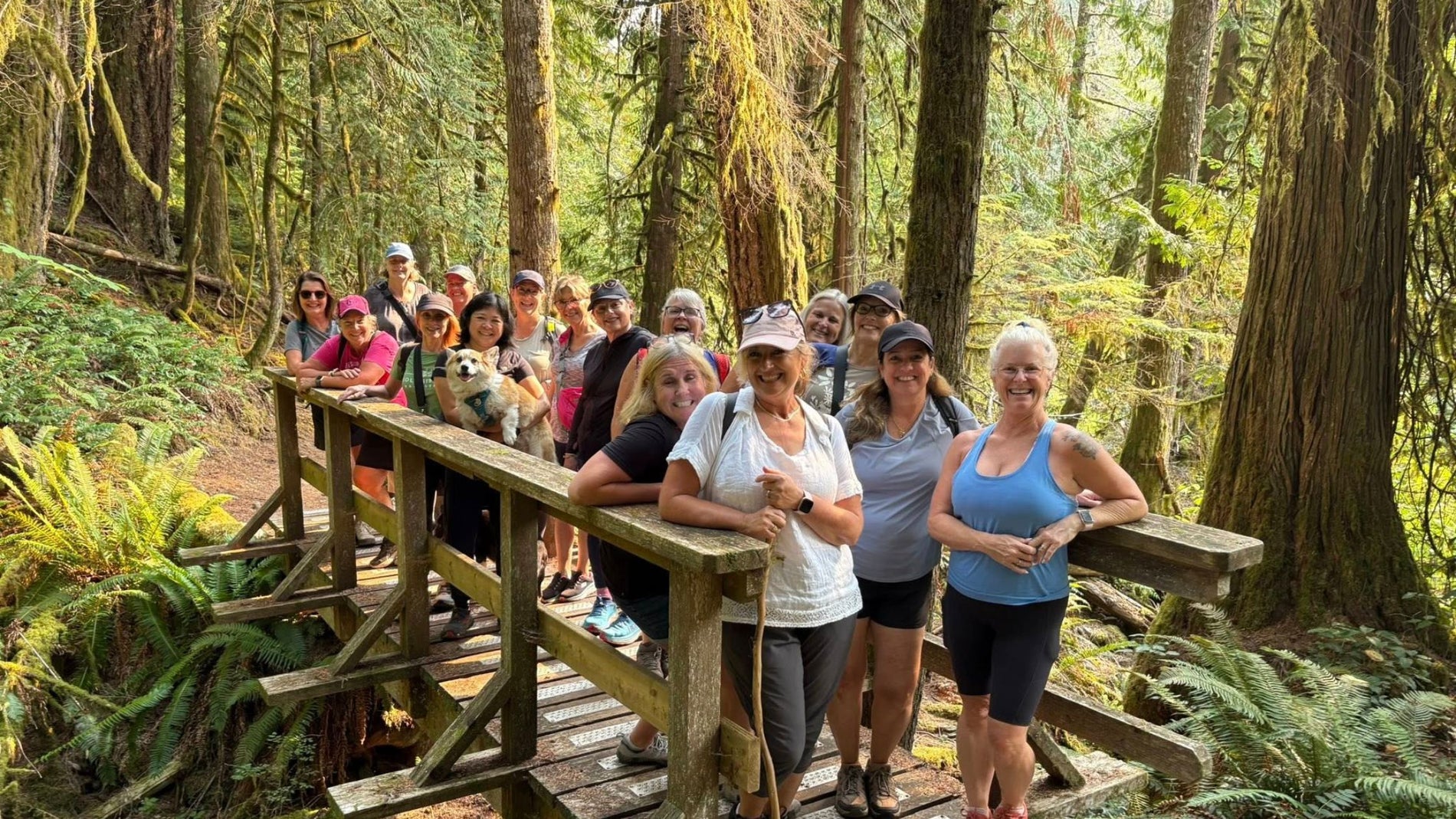 Virtual Wise Women Challenge