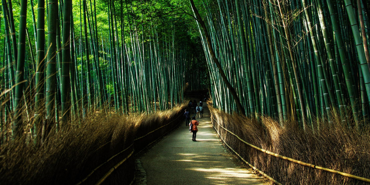 Japan Kumano Kudo Camino