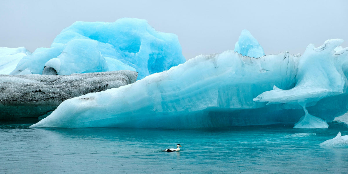 Join Our Iceland WhatsApp Chat Group